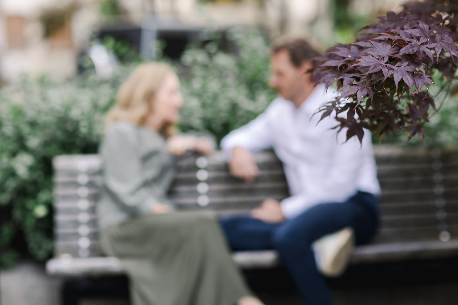 Two people in conversation on a park bench, framed by purple maple leaves