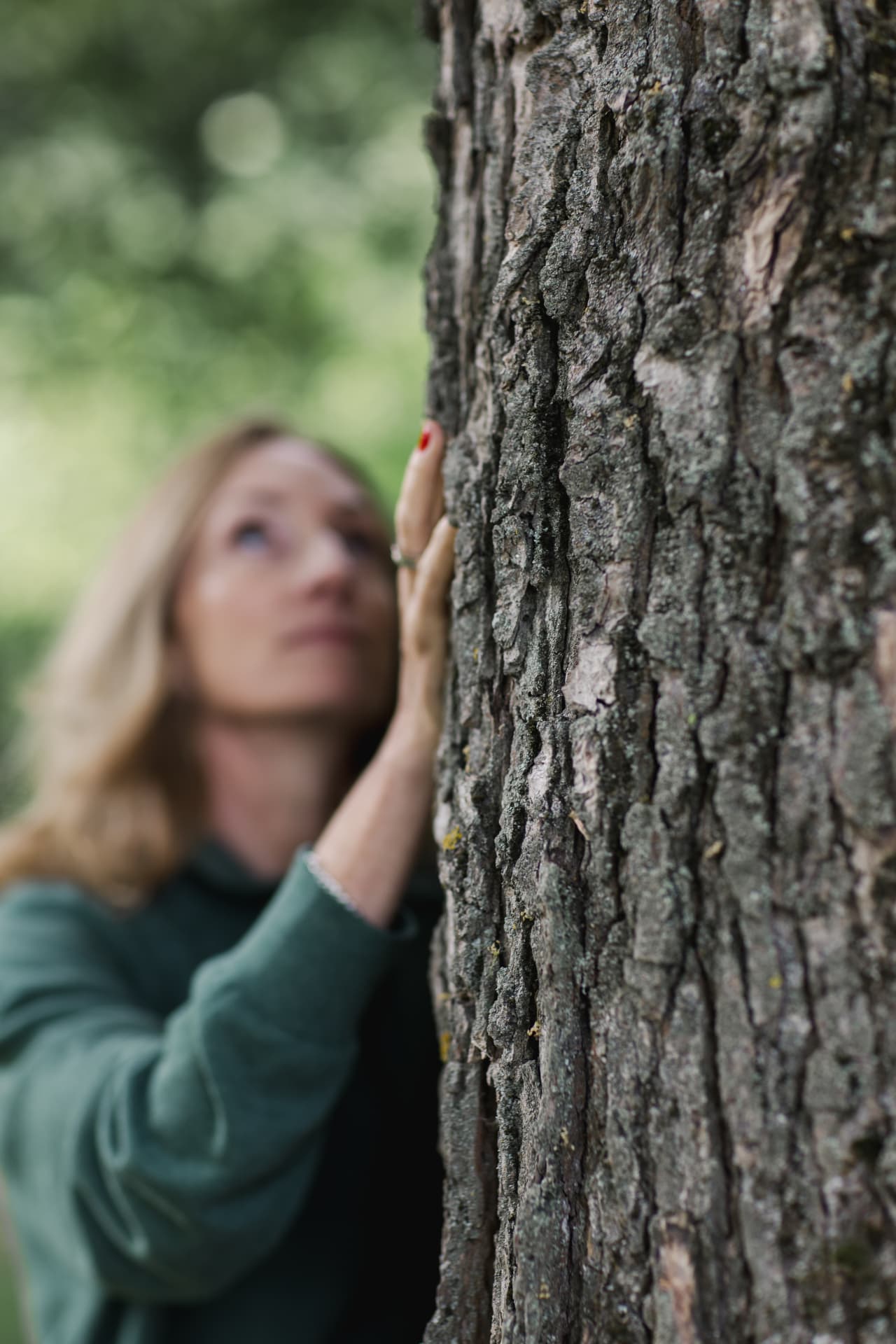 A hand resting on tree bark